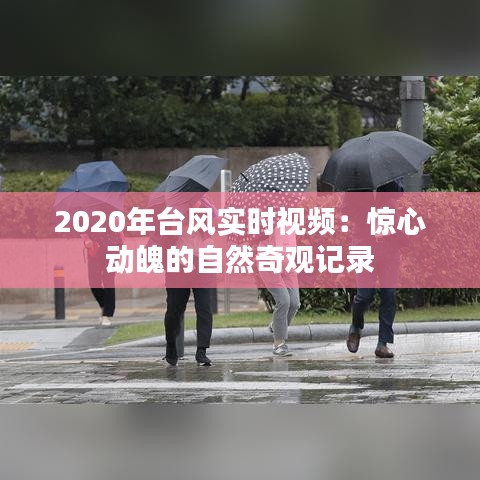 2020年臺風(fēng)實時視頻：驚心動魄的自然奇觀記錄