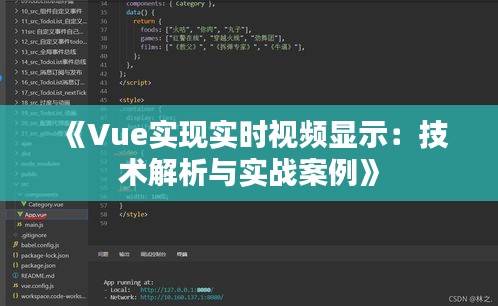 《Vue實現(xiàn)實時視頻顯示：技術(shù)解析與實戰(zhàn)案例》
