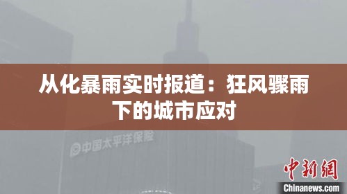 從化暴雨實時報道：狂風驟雨下的城市應對