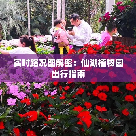 實時路況圖解密：仙湖植物園出行指南