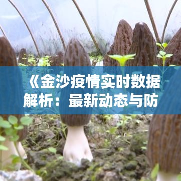 《金沙疫情實時數(shù)據(jù)解析：最新動態(tài)與防控措施一覽》