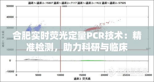 合肥實時熒光定量PCR技術：精準檢測，助力科研與臨床