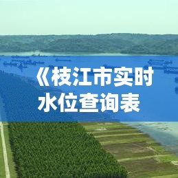 《枝江市實(shí)時水位查詢表：便捷了解水域動態(tài)，守護(hù)安全出行》