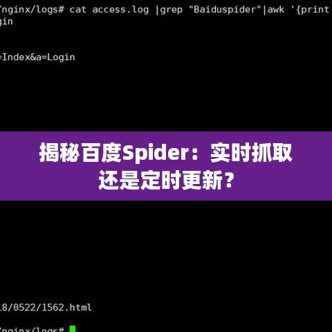 揭秘百度Spider：實(shí)時抓取還是定時更新？