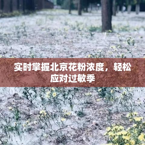 實(shí)時(shí)掌握北京花粉濃度，輕松應(yīng)對(duì)過敏季