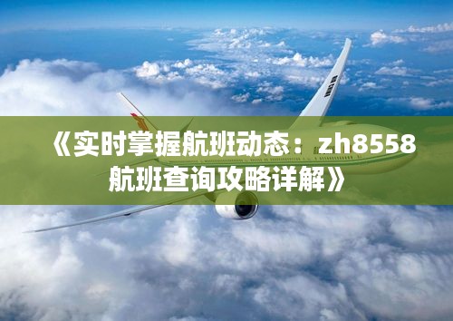 《實時掌握航班動態(tài)：zh8558航班查詢攻略詳解》