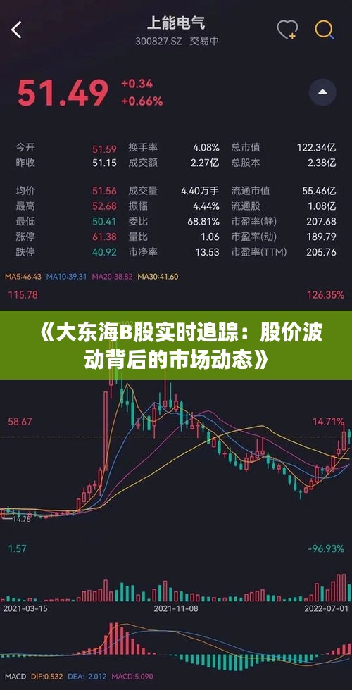 《大東海B股實(shí)時(shí)追蹤：股價(jià)波動(dòng)背后的市場(chǎng)動(dòng)態(tài)》