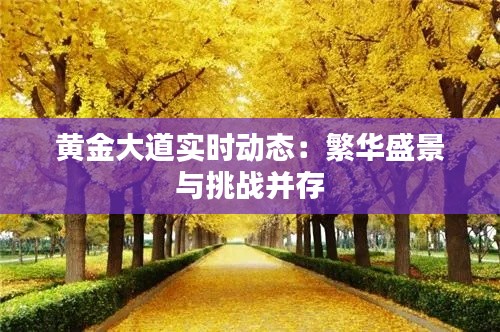 黃金大道實(shí)時(shí)動(dòng)態(tài)：繁華盛景與挑戰(zhàn)并存