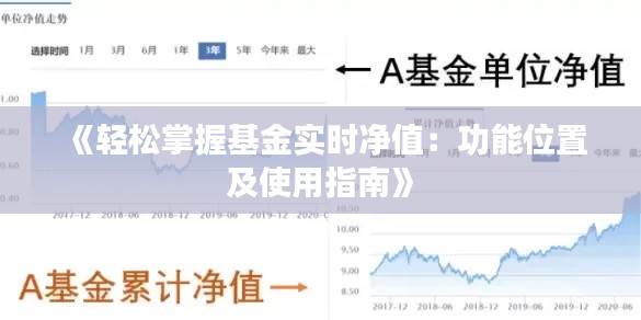 《輕松掌握基金實時凈值：功能位置及使用指南》