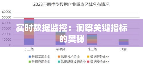 實(shí)時(shí)數(shù)據(jù)監(jiān)控：洞察關(guān)鍵指標(biāo)的奧秘