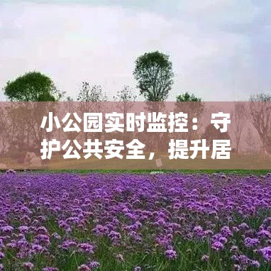 小公園實(shí)時(shí)監(jiān)控：守護(hù)公共安全，提升居民幸福感