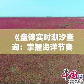 《盤錦實時潮汐查詢：掌握海洋節(jié)奏，暢游海濱生活》