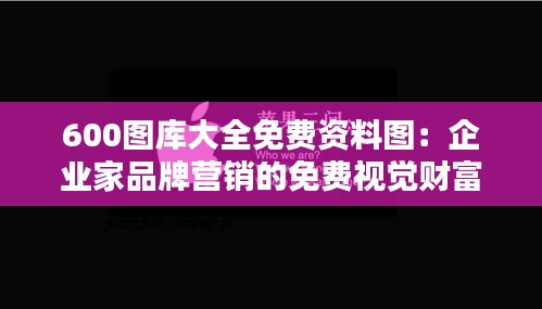 600圖庫大全免費資料圖：企業(yè)家品牌營銷的免費視覺財富