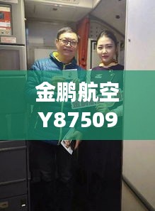 金鵬航空Y87509航班實時動態(tài)追蹤：揭秘空中之旅