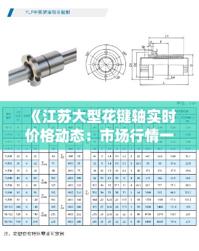 《江蘇大型花鍵軸實(shí)時價格動態(tài)：市場行情一覽無余》