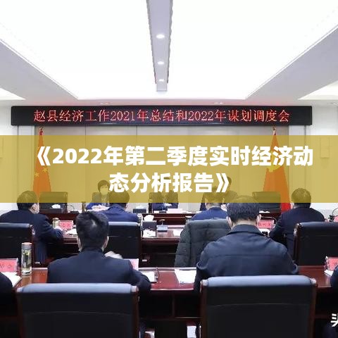 《2022年第二季度實(shí)時(shí)經(jīng)濟(jì)動(dòng)態(tài)分析報(bào)告》