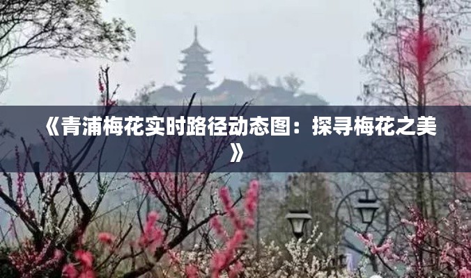 《青浦梅花實時路徑動態(tài)圖：探尋梅花之美》