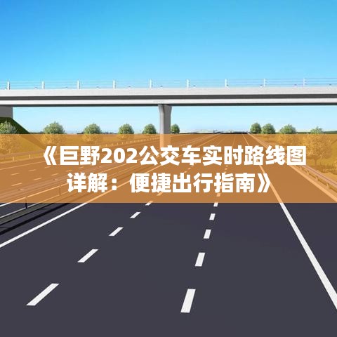 《巨野202公交車實(shí)時(shí)路線圖詳解：便捷出行指南》