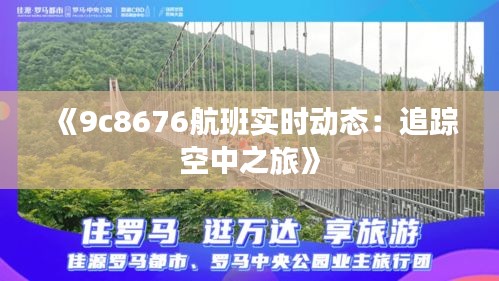 《9c8676航班實時動態(tài)：追蹤空中之旅》