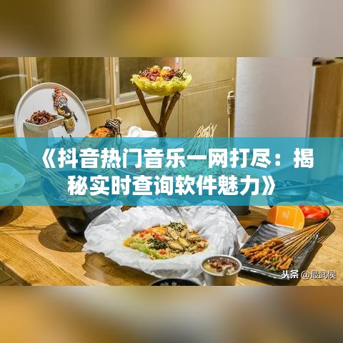 《抖音熱門音樂一網(wǎng)打盡：揭秘實時查詢軟件魅力》