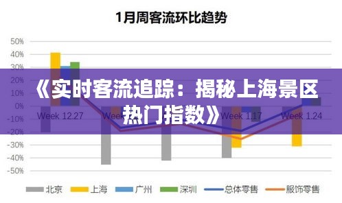 《實時客流追蹤：揭秘上海景區(qū)熱門指數(shù)》