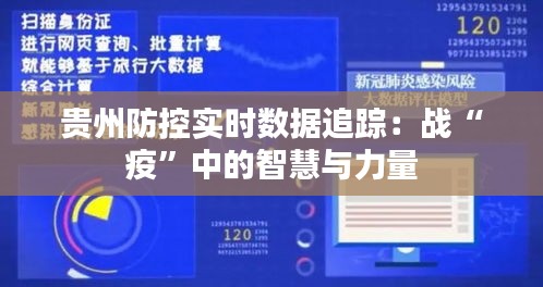 貴州防控實時數(shù)據(jù)追蹤：戰(zhàn)“疫”中的智慧與力量