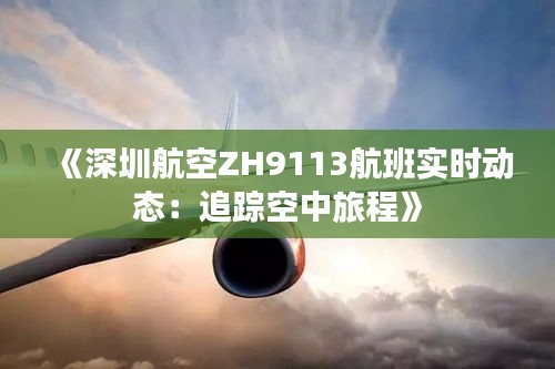 《深圳航空ZH9113航班實時動態(tài)：追蹤空中旅程》