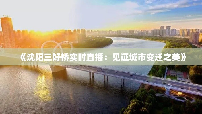 《沈陽三好橋?qū)崟r直播：見證城市變遷之美》