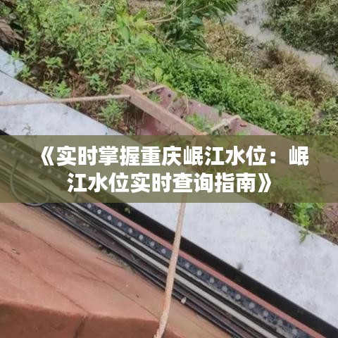 《實(shí)時(shí)掌握重慶岷江水位：岷江水位實(shí)時(shí)查詢指南》