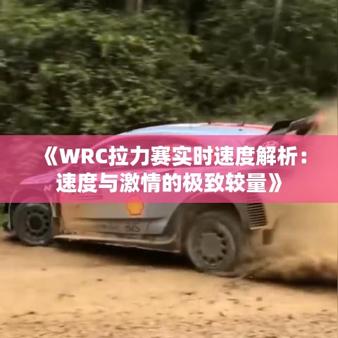 《WRC拉力賽實(shí)時(shí)速度解析：速度與激情的極致較量》