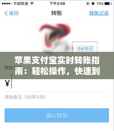 蘋(píng)果支付寶實(shí)時(shí)轉(zhuǎn)賬指南：輕松操作，快速到賬
