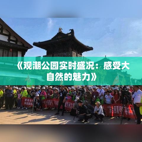 《觀潮公園實時盛況：感受大自然的魅力》