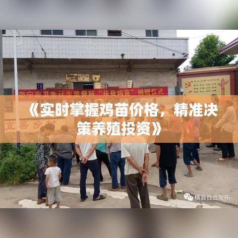 《實時掌握雞苗價格，精準決策養(yǎng)殖投資》