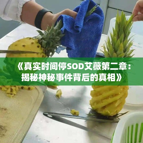 《真實(shí)時(shí)間停SOD艾薇第二章：揭秘神秘事件背后的真相》