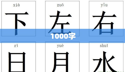 1000字