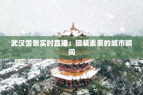 武漢雪景實(shí)時(shí)直播：銀裝素裹的城市瞬間