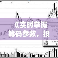 《實時掌握籌碼參數(shù)，投資決策更精準(zhǔn)——揭秘實時查看籌碼參數(shù)表之道》