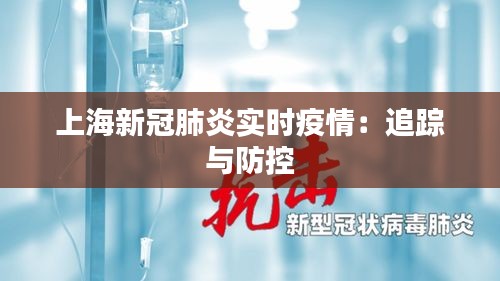 上海新冠肺炎實時疫情：追蹤與防控