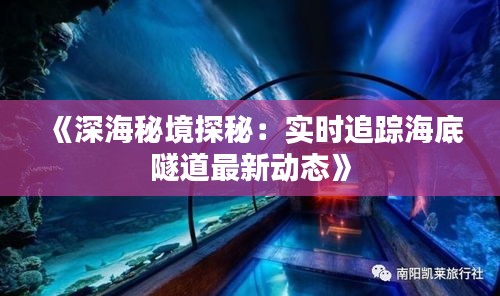 《深海秘境探秘：實時追蹤海底隧道最新動態(tài)》