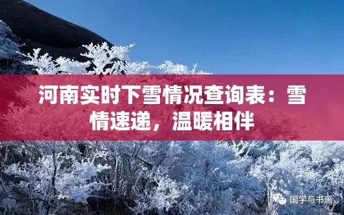 河南實(shí)時(shí)下雪情況查詢表：雪情速遞，溫暖相伴