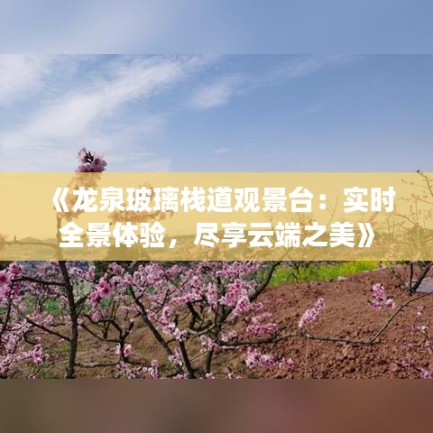 《龍泉玻璃棧道觀景臺：實(shí)時(shí)全景體驗(yàn)，盡享云端之美》