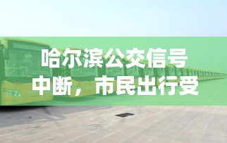 哈爾濱公交信號中斷，市民出行受阻，緊急應(yīng)對措施詳解