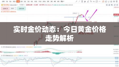 實(shí)時(shí)金價(jià)動(dòng)態(tài)：今日黃金價(jià)格走勢(shì)解析