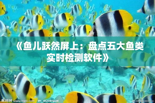 《魚(yú)兒躍然屏上：盤(pán)點(diǎn)五大魚(yú)類(lèi)實(shí)時(shí)檢測(cè)軟件》