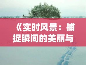 《實(shí)時(shí)風(fēng)景：捕捉瞬間的美麗與感動(dòng)》