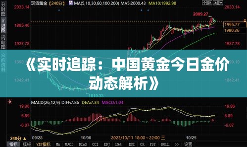 《實時追蹤：中國黃金今日金價動態(tài)解析》