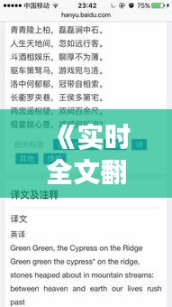 《實時全文翻譯排行榜：揭秘翻譯界的風云變幻》