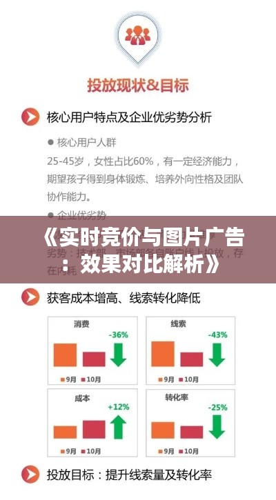 《實時競價與圖片廣告：效果對比解析》