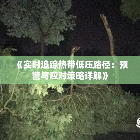 《實時追蹤熱帶低壓路徑：預(yù)警與應(yīng)對策略詳解》