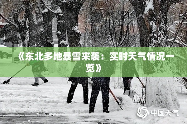 《東北多地暴雪來襲：實(shí)時天氣情況一覽》